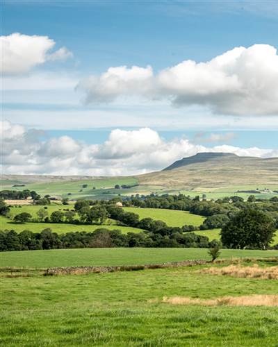Ingleborough sunny day 2