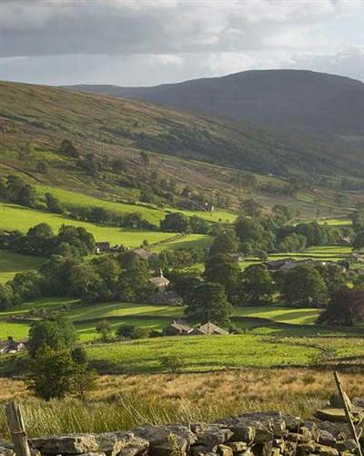 yd dentdale