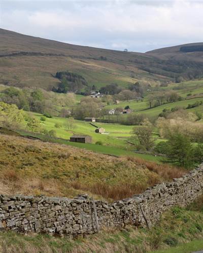 yorkshire dales stock