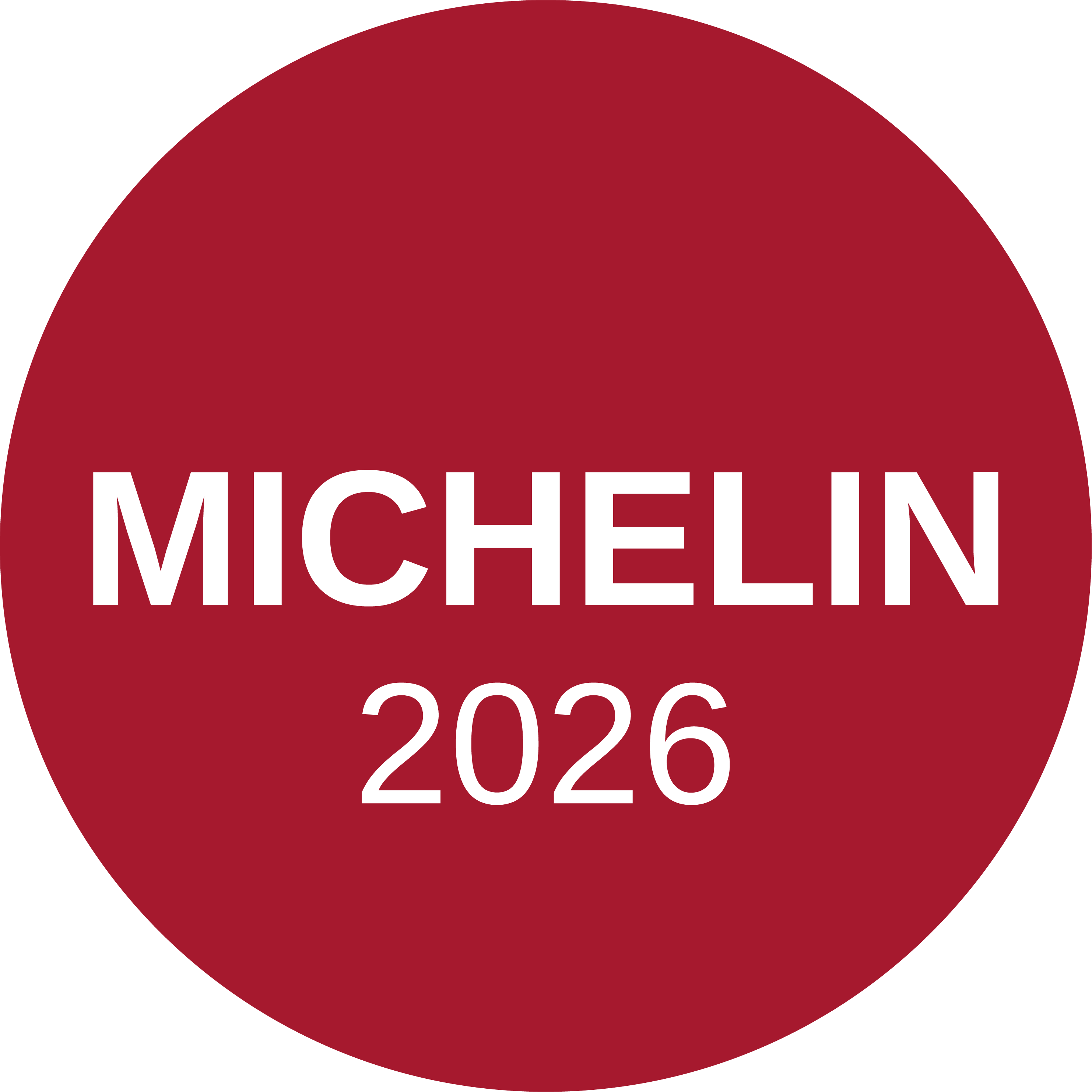 Michelin 2020 Logo