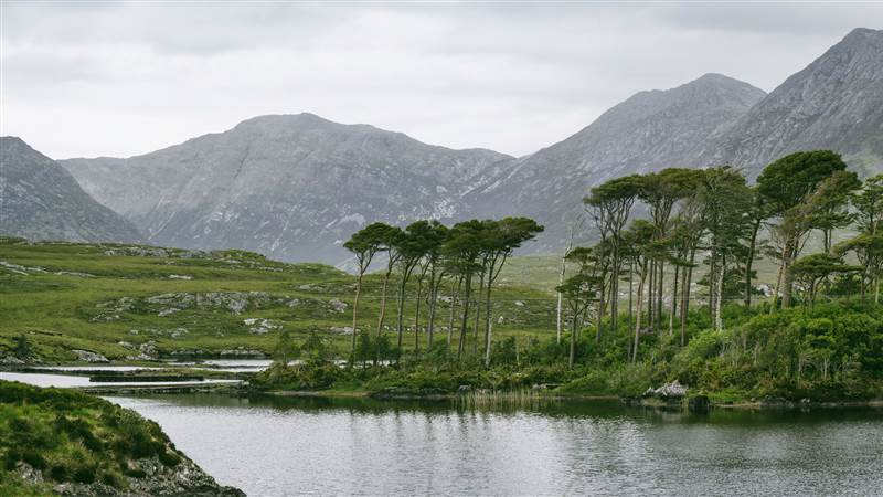Connemara National Park