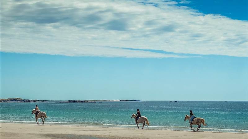 Horse riding on the beach in Ireland