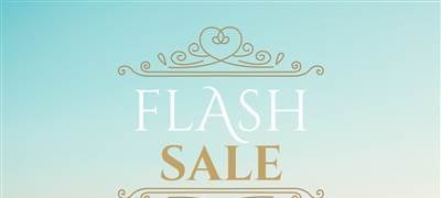 FlashSale graphic (1)