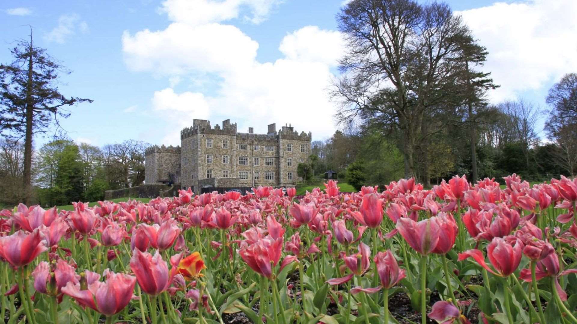 Waterford Castle in Ireland: a historic 16th-century luxury hotel located on an island