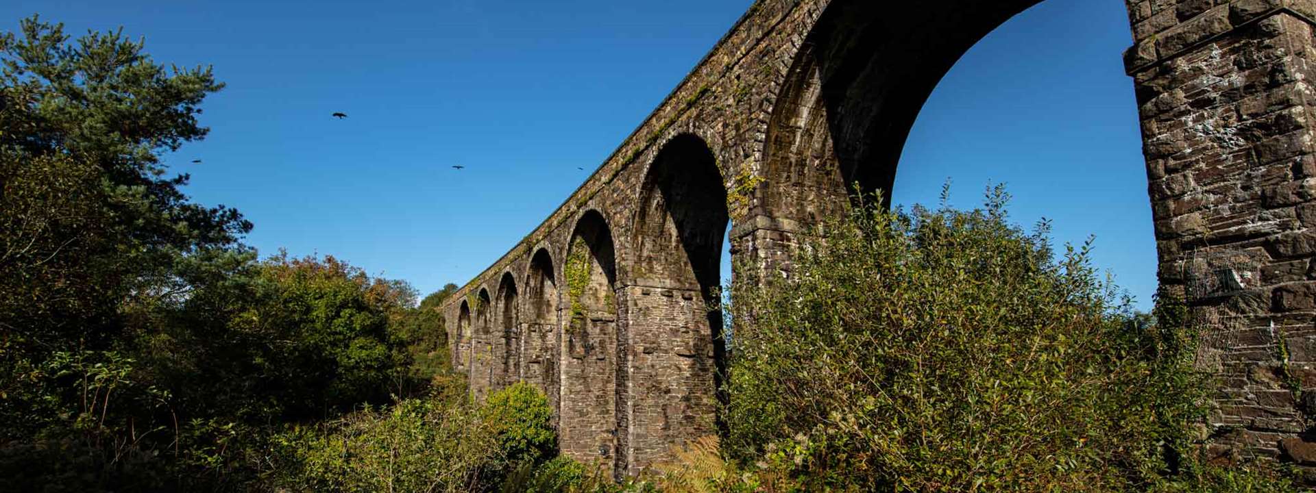 waterford greenway