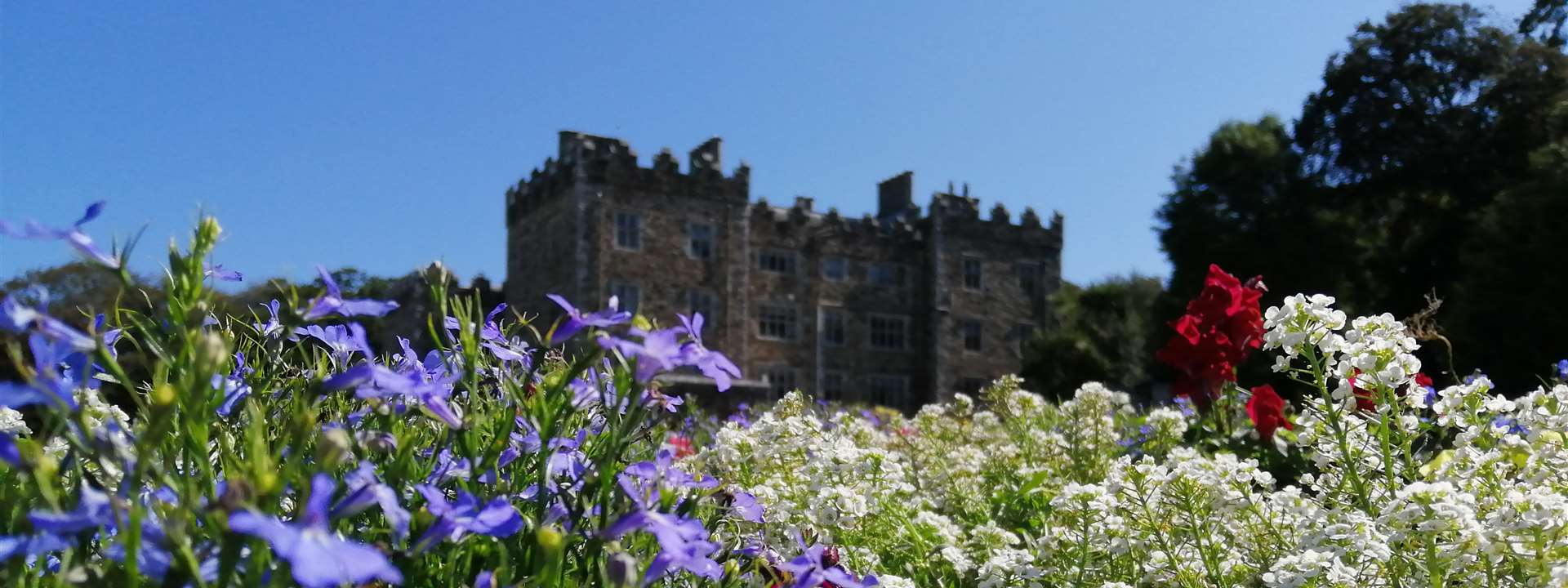  Waterford Castle Hotel & Golf Resort