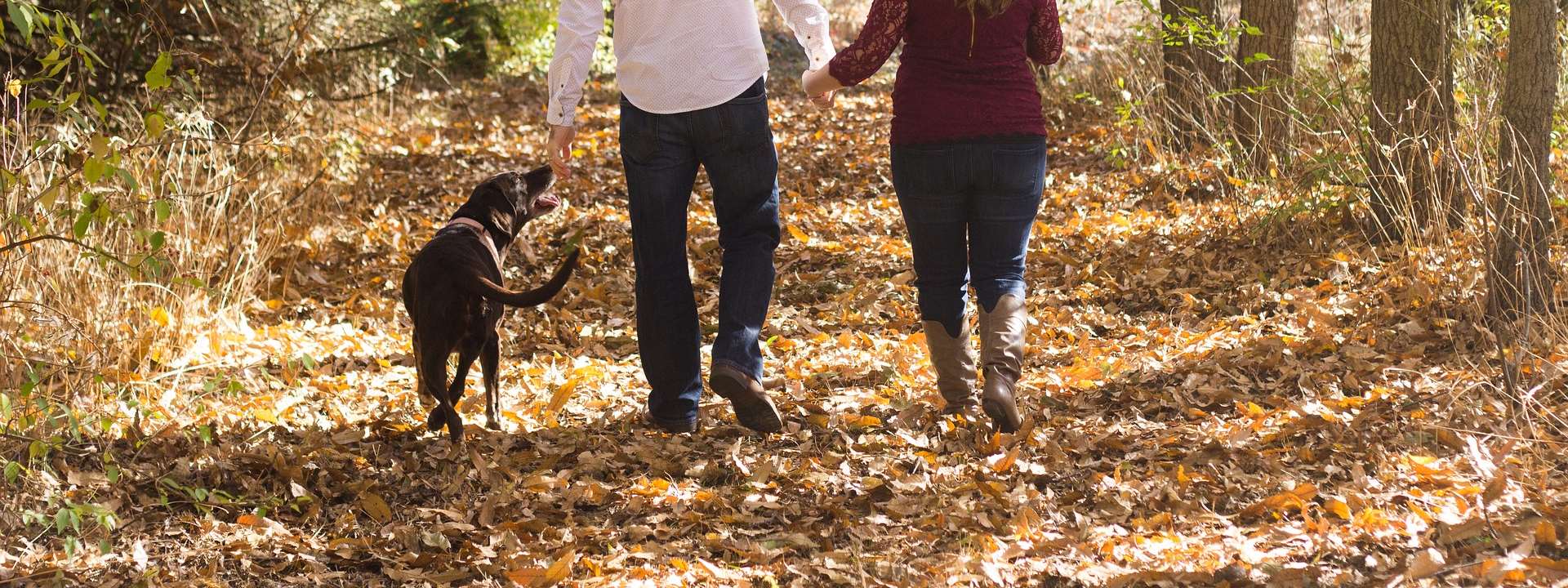 autumnfamily stock