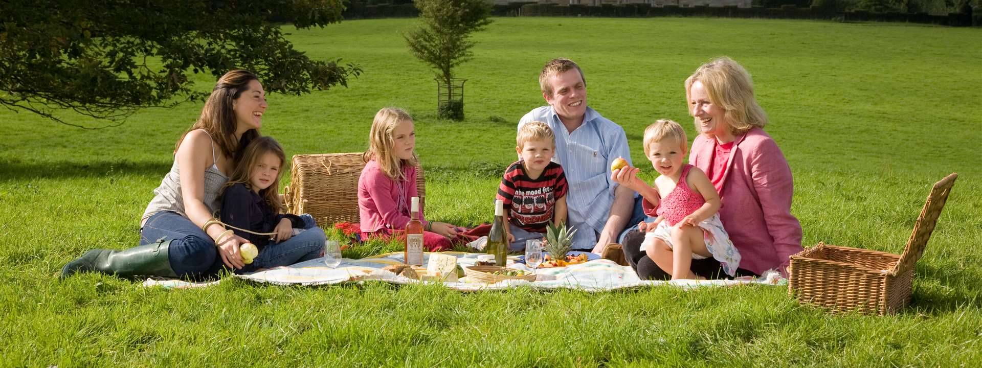 picnic