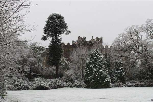 WhatsApp Image 2024 11 14 at 15.53