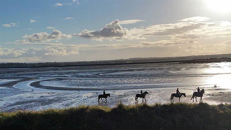 Corballis Pony Trekking