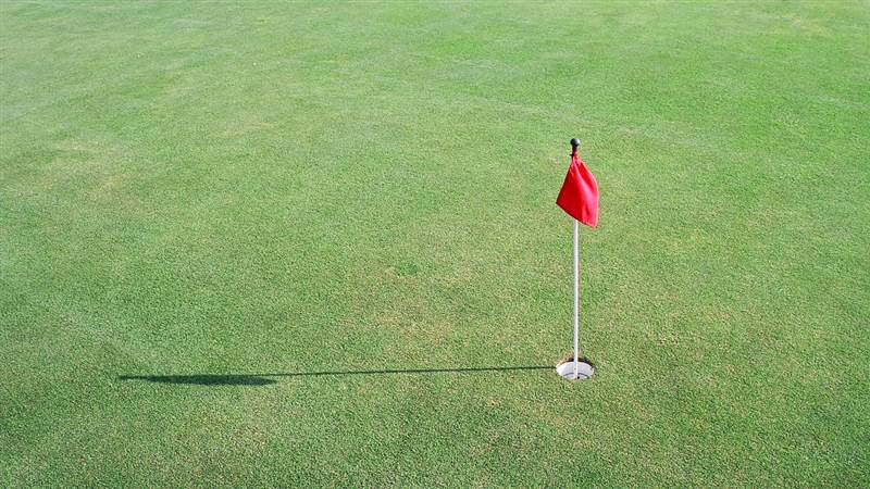Corballis Golf Club