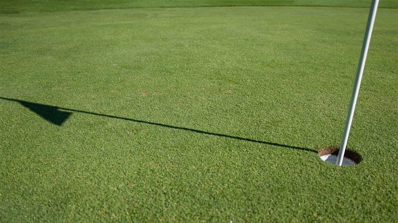 Beaverstown Golf