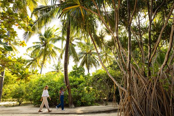 Experiences  Garden Tour through the ga