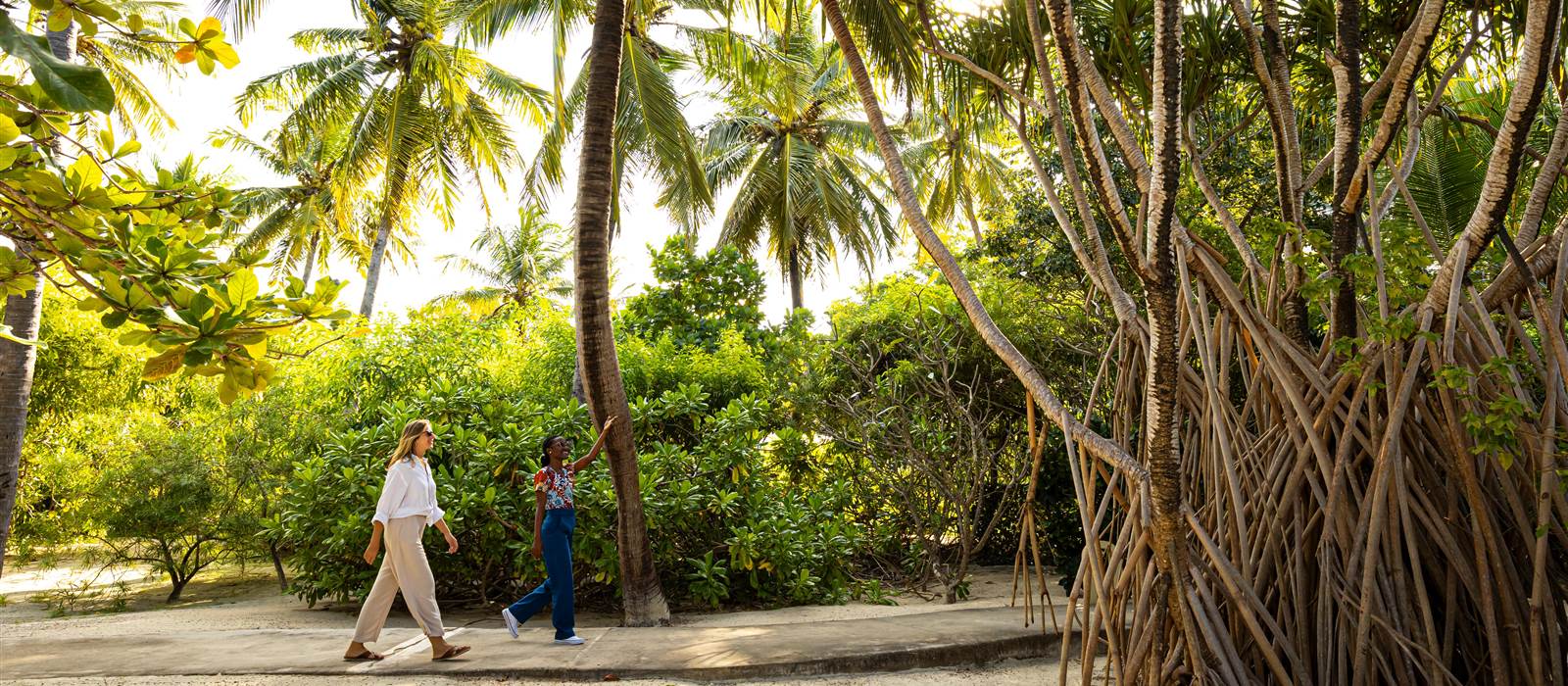 Zanzibar White Sand 318