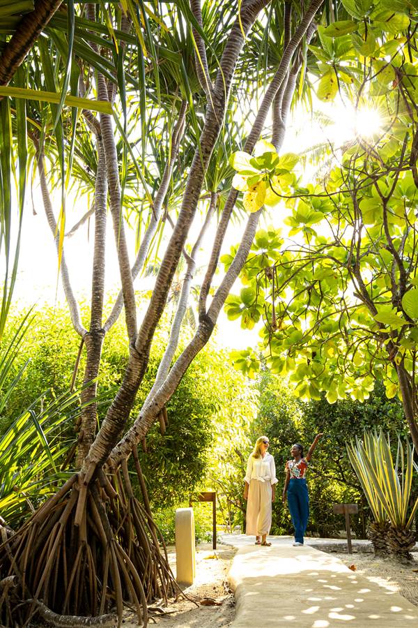 Zanzibar White Sand 311