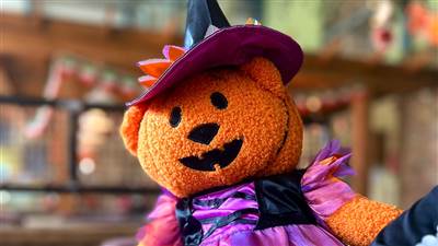 Jack O Lantern