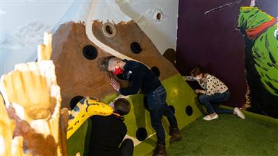 St Patricks Snakes Challenge Rooms