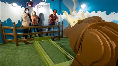 Brown Bull of Cooley