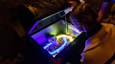 Celtic Challenge Rooms