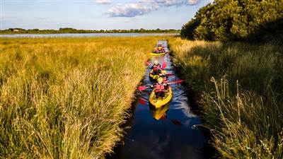 Wildlands Kayaking