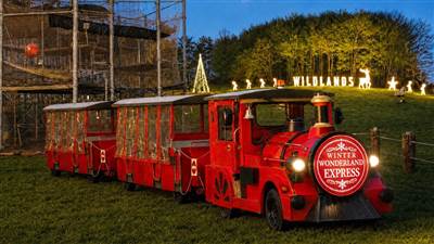 Winter Wonderland Express Train