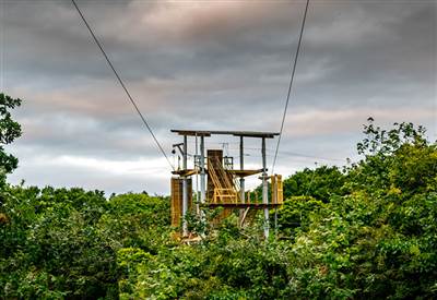 Wildlands Zipline Tower