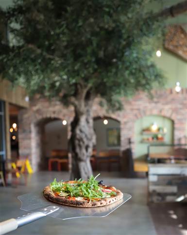 Olive Tree Kitchen Tree