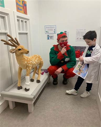 Reindeer Hospital Baile Beag