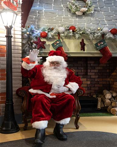 Santa Wildlands Winter Wonderland