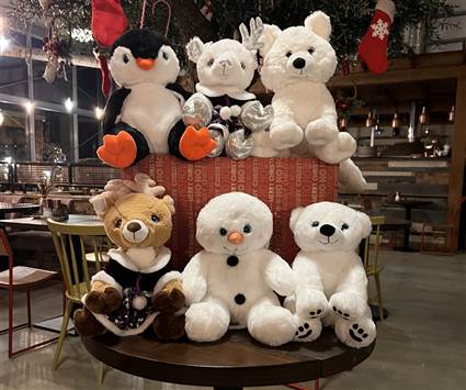 Christmas Eco Teddy Workshop