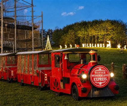 Winter Wonderland Express Train
