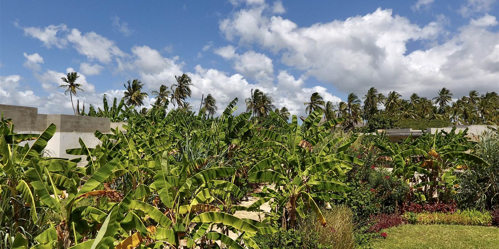 Panoramic Rooftop Jungle Suite Luxury Private Suites...