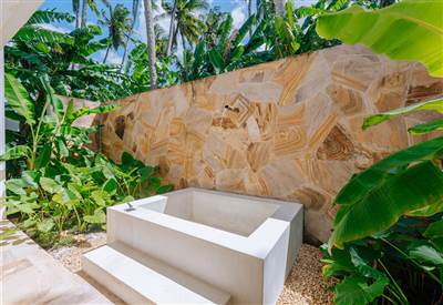 Jungle Suites