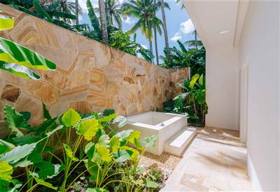 Jungle Suites(1)