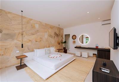Jungle Suites(2)