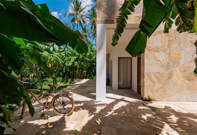 Jungle Suites(3)