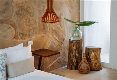 One bedroom jungle suite