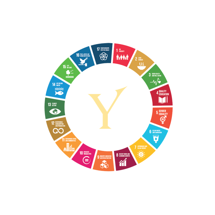 SDG Goals website10 1500px